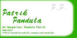 patrik pandula business card